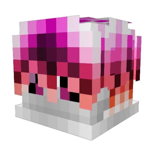 Joaaakim Minecraft avatar head, 3D render