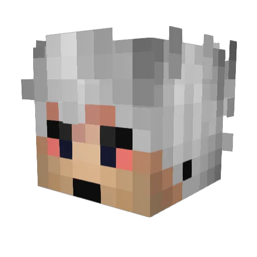 Joacoh Minecraft avatar head, 3D render