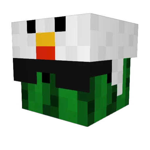 Joacoo69 Minecraft avatar head, 3D render