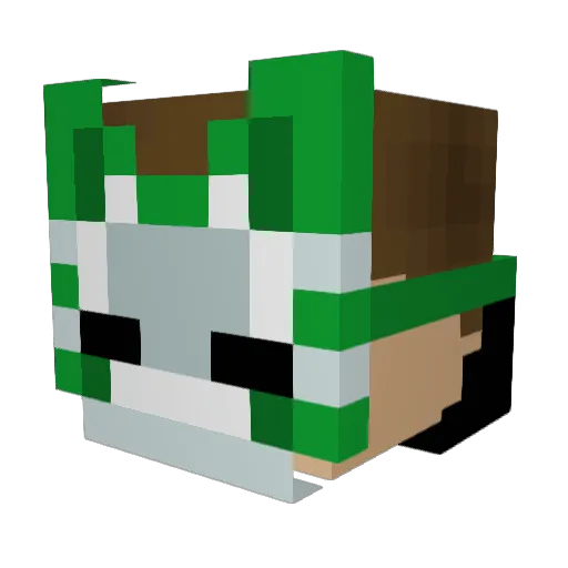 Joak0 Minecraft avatar head, 3D render