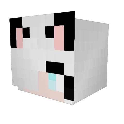 JoakimPvPAlt1 Minecraft avatar head, 3D render