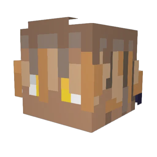 Joako2912 Minecraft avatar head, 3D render