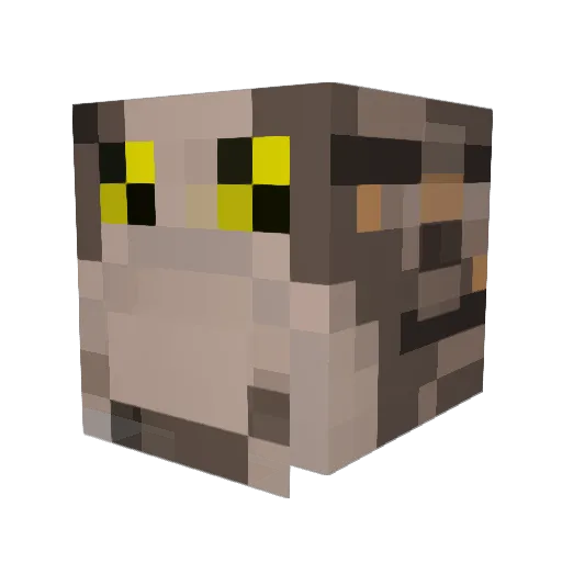 JoaksSilver Minecraft avatar head, 3D render