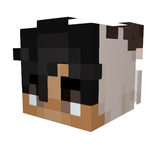 Joaly Minecraft avatar head, 3D render