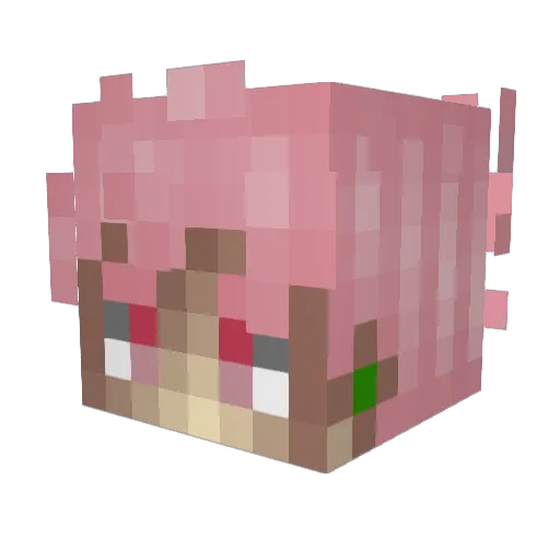 Joan14_ Minecraft avatar head, 3D render