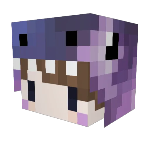 Joan9813 Minecraft avatar head, 3D render