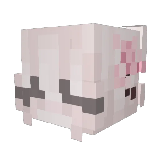 JoanXHung Minecraft avatar head, 3D render