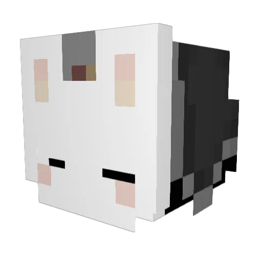 Joan_2 Minecraft avatar head, 3D render