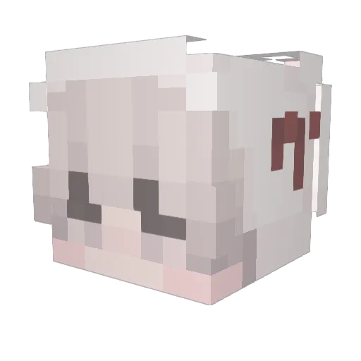 Joanne1101 Minecraft avatar head, 3D render