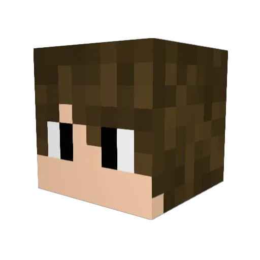 JoaoG_08 Minecraft avatar head, 3D render