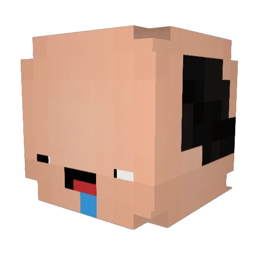 JoaoH19 Minecraft avatar head, 3D render