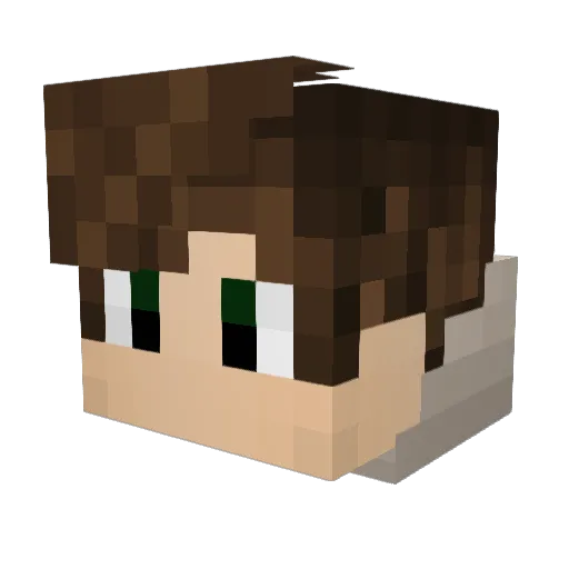 Joaodudu6 Minecraft avatar head, 3D render