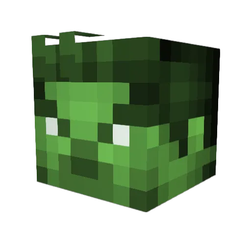 Joaofelipe2003 Minecraft avatar head, 3D render