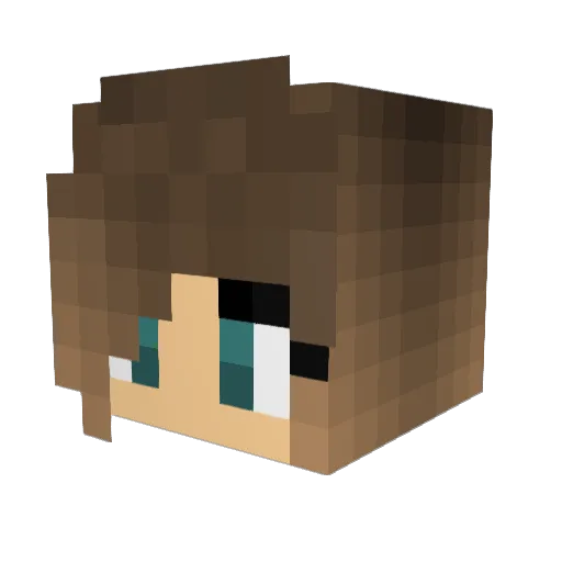 Joaopmcs Minecraft avatar head, 3D render