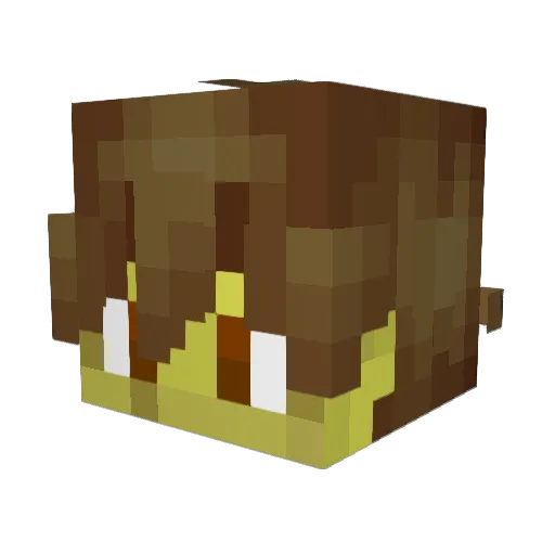 Joaquinooo Minecraft avatar head, 3D render