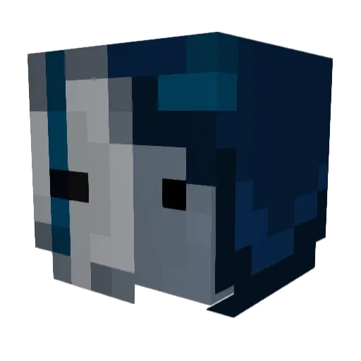 JoashIsntReal Minecraft avatar head, 3D render