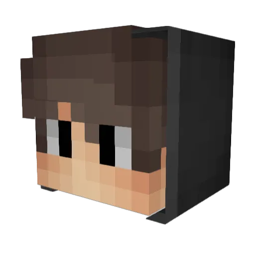 Minecraft-Avatar von Joats_: Kopf als 3D-Render