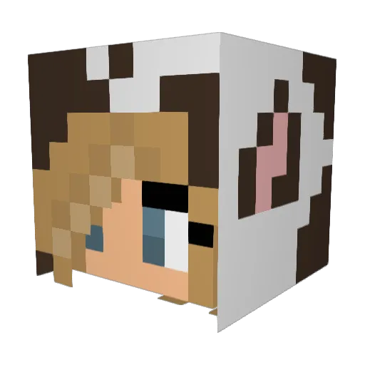 JobbaHemifran Minecraft avatar head, 3D render