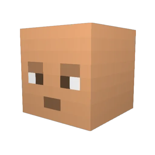 Jobster998 Minecraft avatar head, 3D render