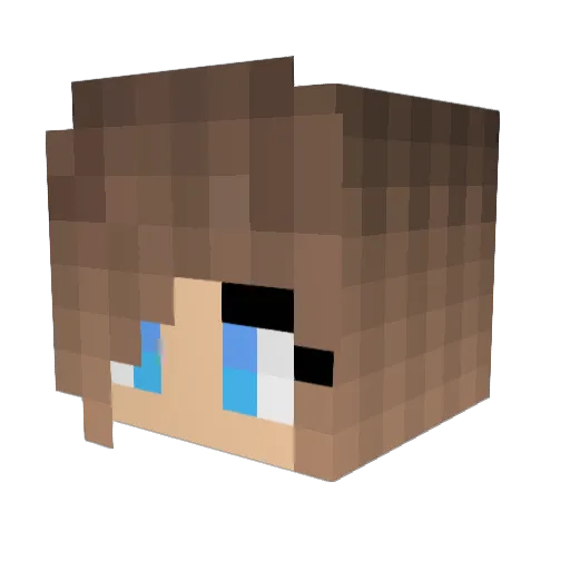 JochenJanzer Minecraft avatar head, 3D render