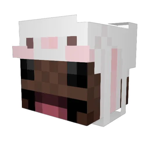 JochoNA Minecraft avatar head, 3D render