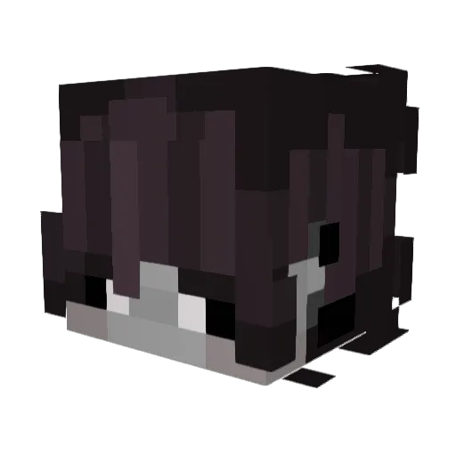 JochuaMC Minecraft avatar head, 3D render