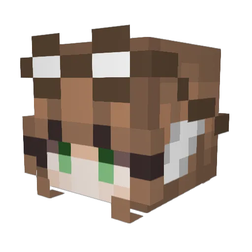 Jockie333 Minecraft avatar head, 3D render