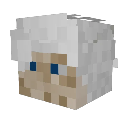 Jodakai Minecraft avatar head, 3D render