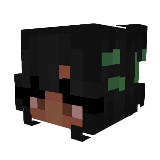 Jodiis Minecraft avatar head, 3D render
