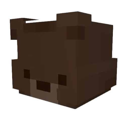 Jodirt20 Minecraft avatar head, 3D render