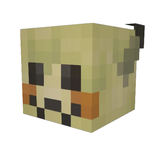 Joe160 Minecraft avatar head, 3D render
