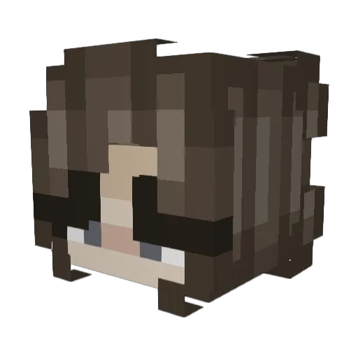 Joe743 Minecraft avatar head, 3D render