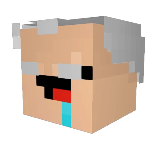 JoeBidensSock Minecraft avatar head, 3D render