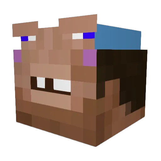 JoeBird___ Minecraft avatar head, 3D render