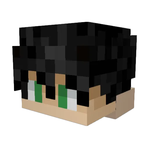 JoeDeezeNuts Minecraft avatar head, 3D render