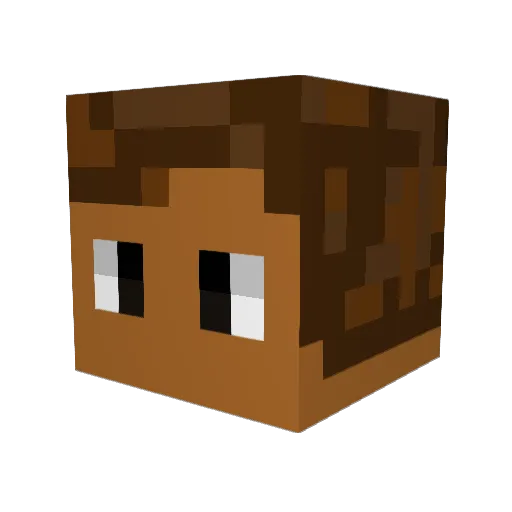 JoeExotik Minecraft avatar head, 3D render