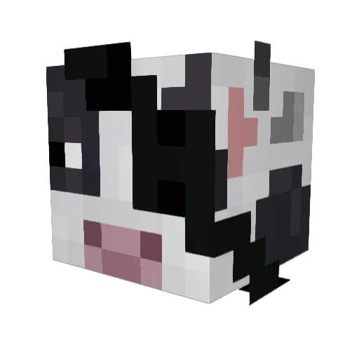 JoeJoecrazybones Minecraft avatar head, 3D render