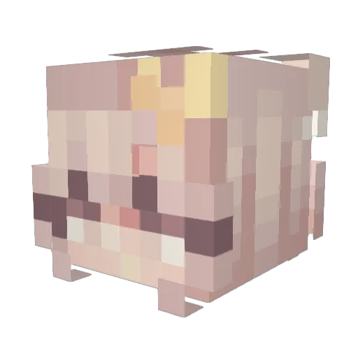 JoeLeTango Minecraft avatar head, 3D render