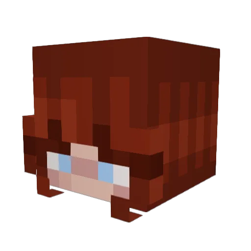 JoeMama777 Minecraft avatar head, 3D render