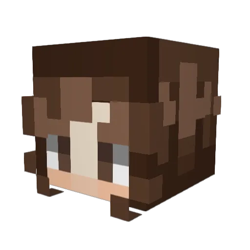 JoeRaptor Minecraft avatar head, 3D render