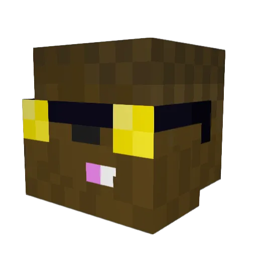 JoeSwanson Minecraft avatar head, 3D render