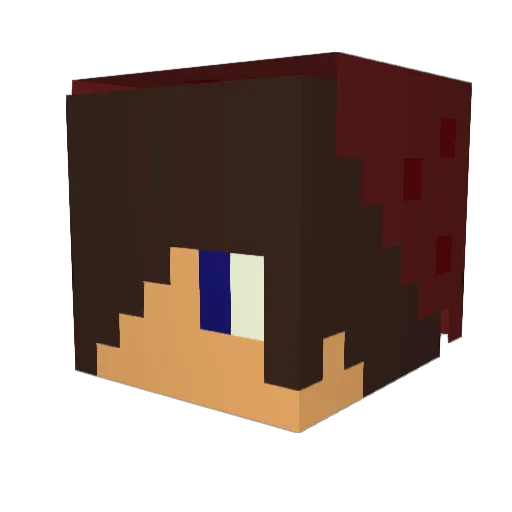 JoeT2341_ Minecraft avatar head, 3D render