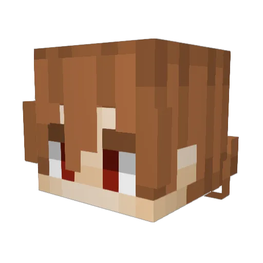 JoeWil Minecraft avatar head, 3D render