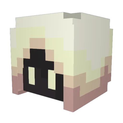 JoeZaEskimo Minecraft avatar head, 3D render