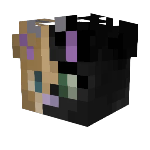 Joe_Kang Minecraft avatar head, 3D render