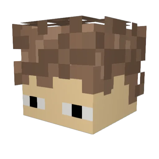 Joe_Schmoe2 Minecraft avatar head, 3D render