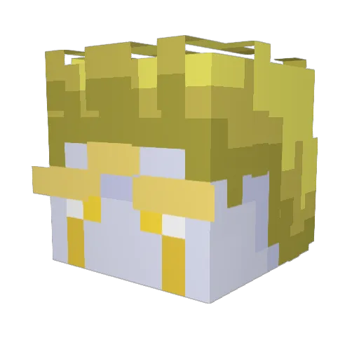 Joe_Texas Minecraft avatar head, 3D render