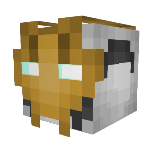 Joeawesome99 Minecraft avatar head, 3D render