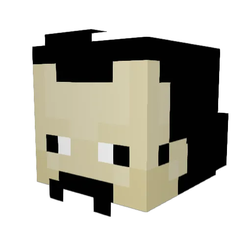 Joef6294 Minecraft avatar head, 3D render