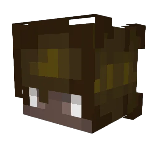Joegrafia Minecraft avatar head, 3D render